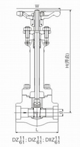 DZ61Y鍛（duàn）鋼低溫閘閥(圖1)